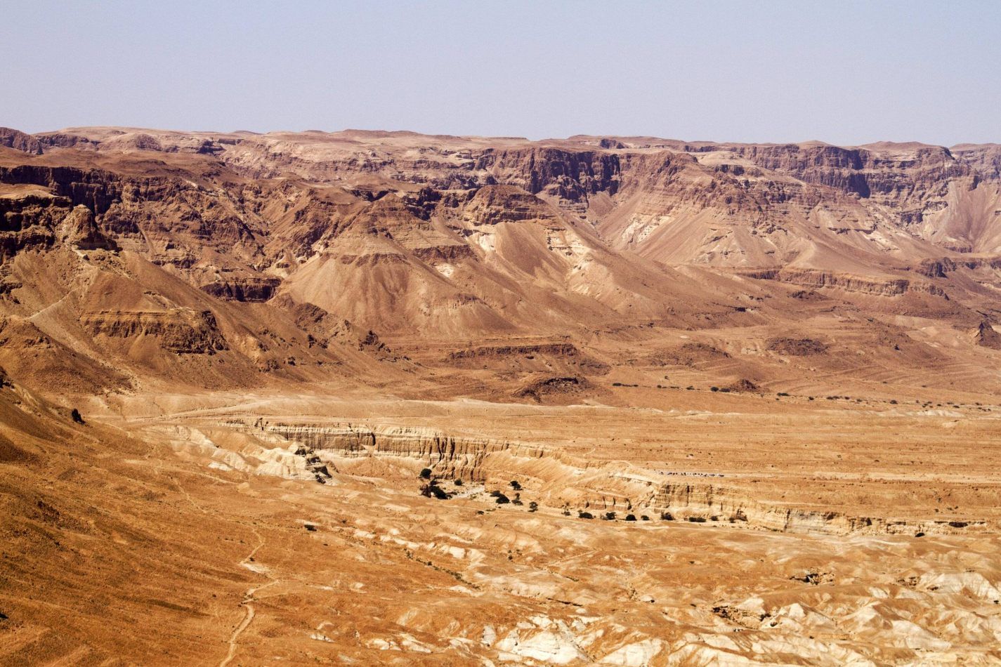 Storvandre: Masada