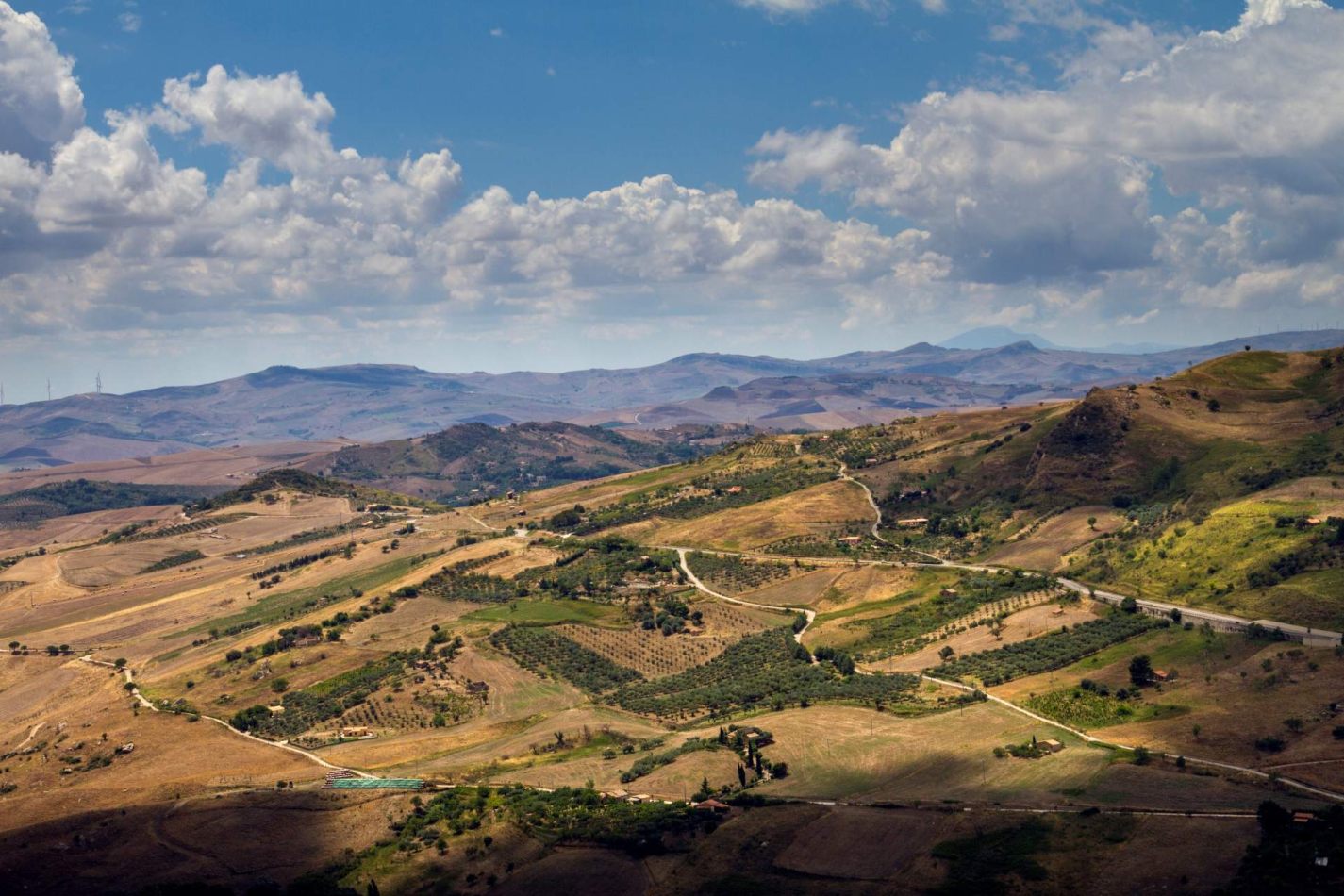 Storvandre: Petralia