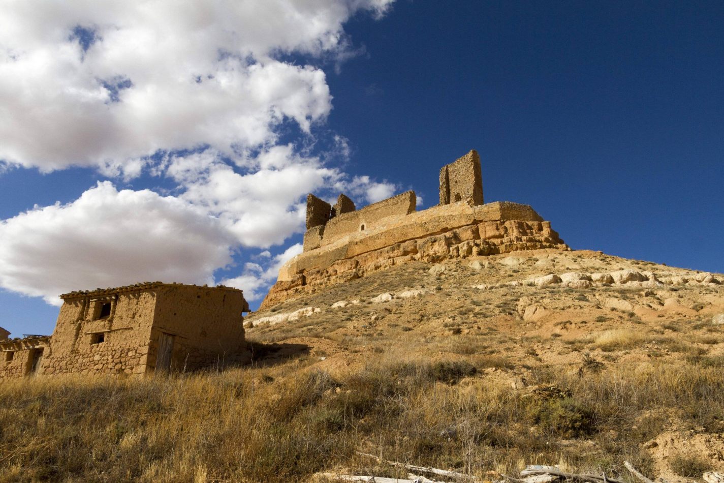 Storvandre: Montuenga