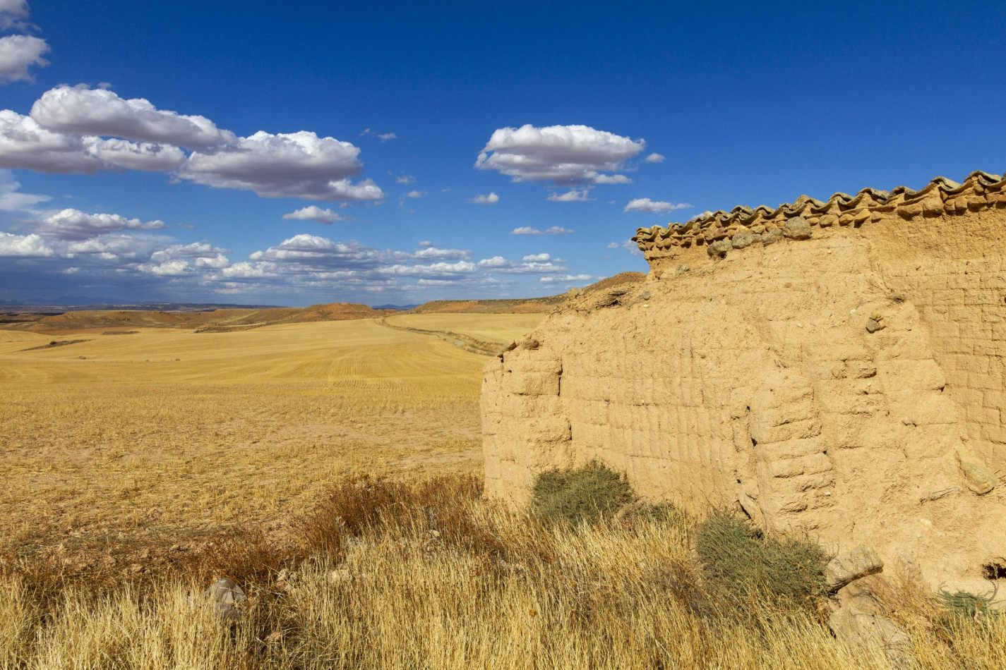 Storvandre: Montuenga