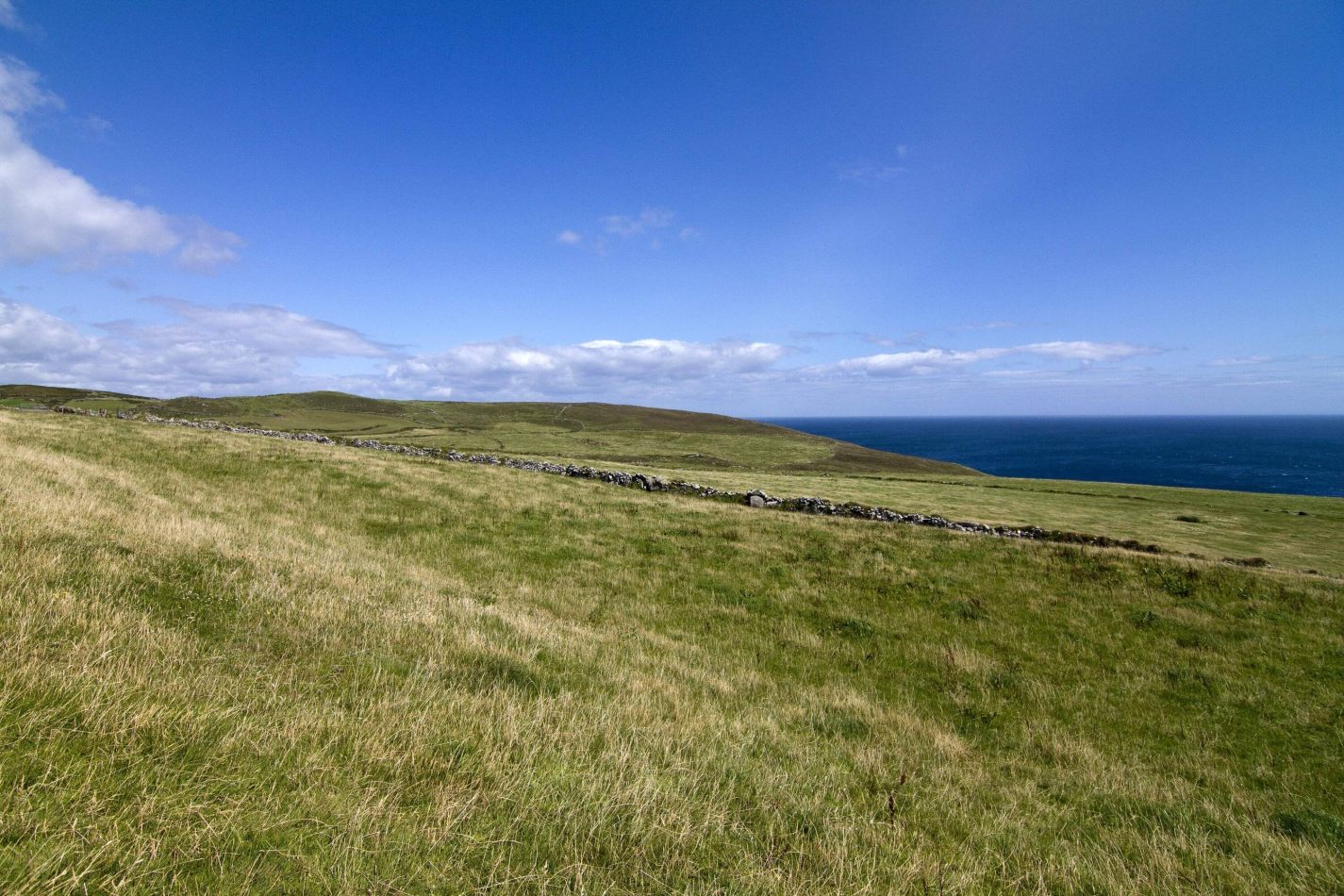 Storvandre: Mizen Head
