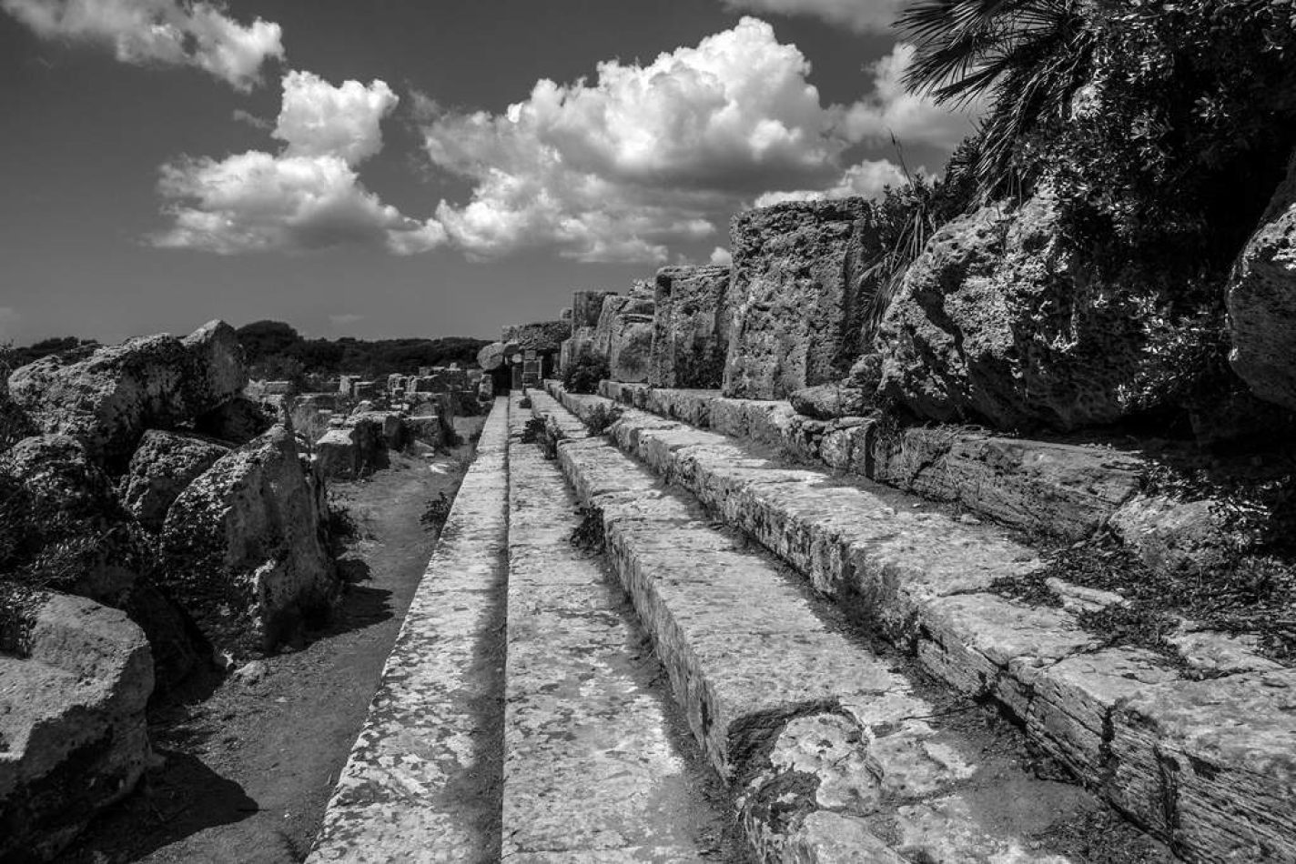 Storvandre: Selinunte