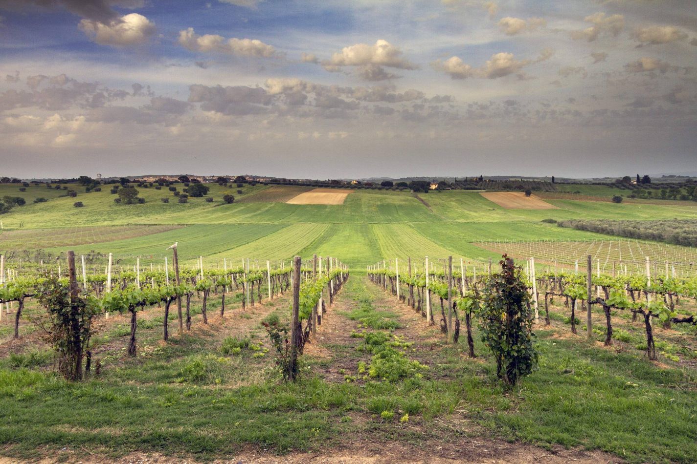 Storvandre: Magliano in Toscana