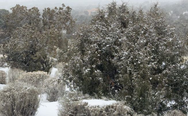 Sometimes life throws you a curve ball