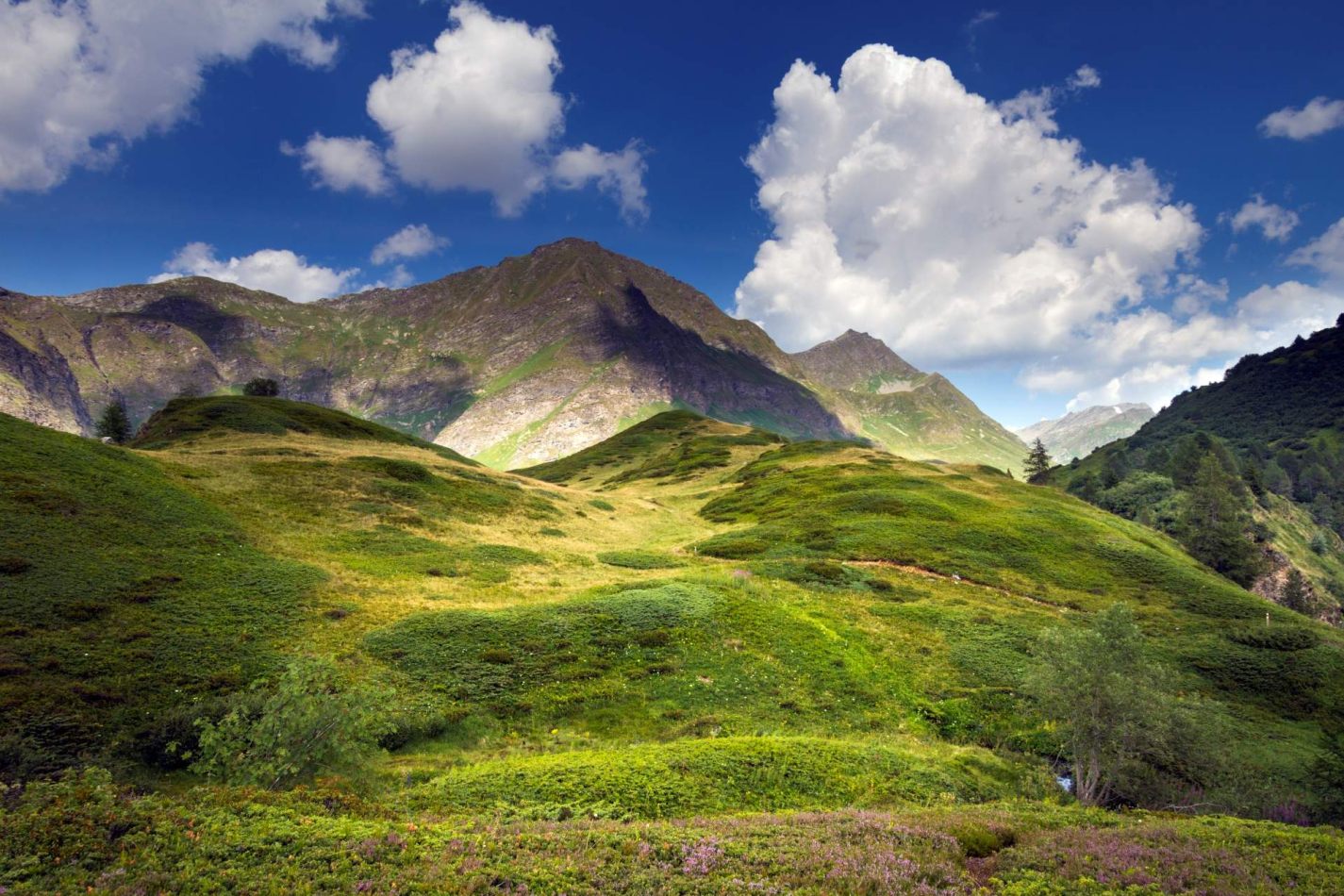 Storvandre: Ritom Lake