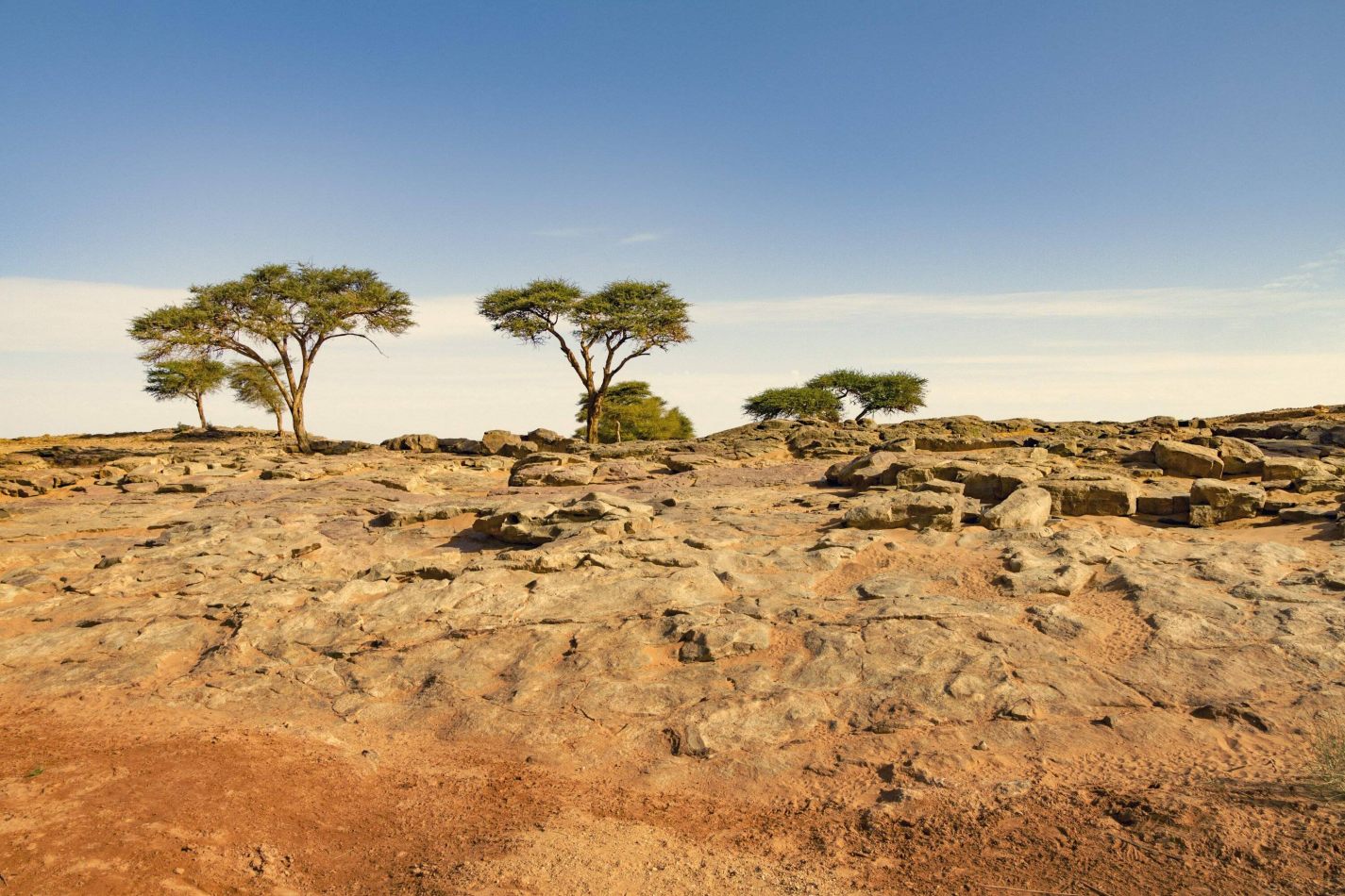 Storvandre: Erg Chigaga