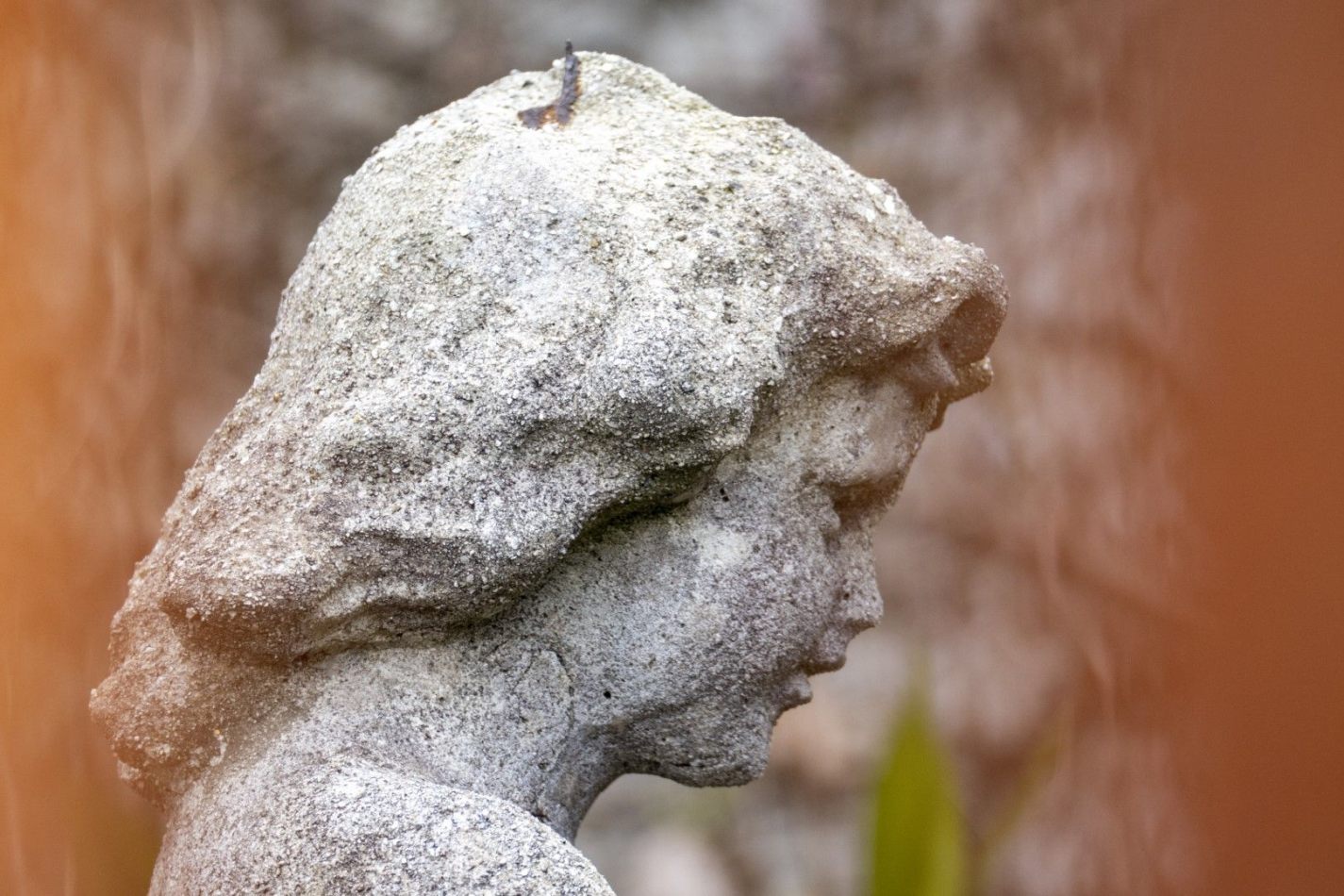 Storvandre: Carate Urio