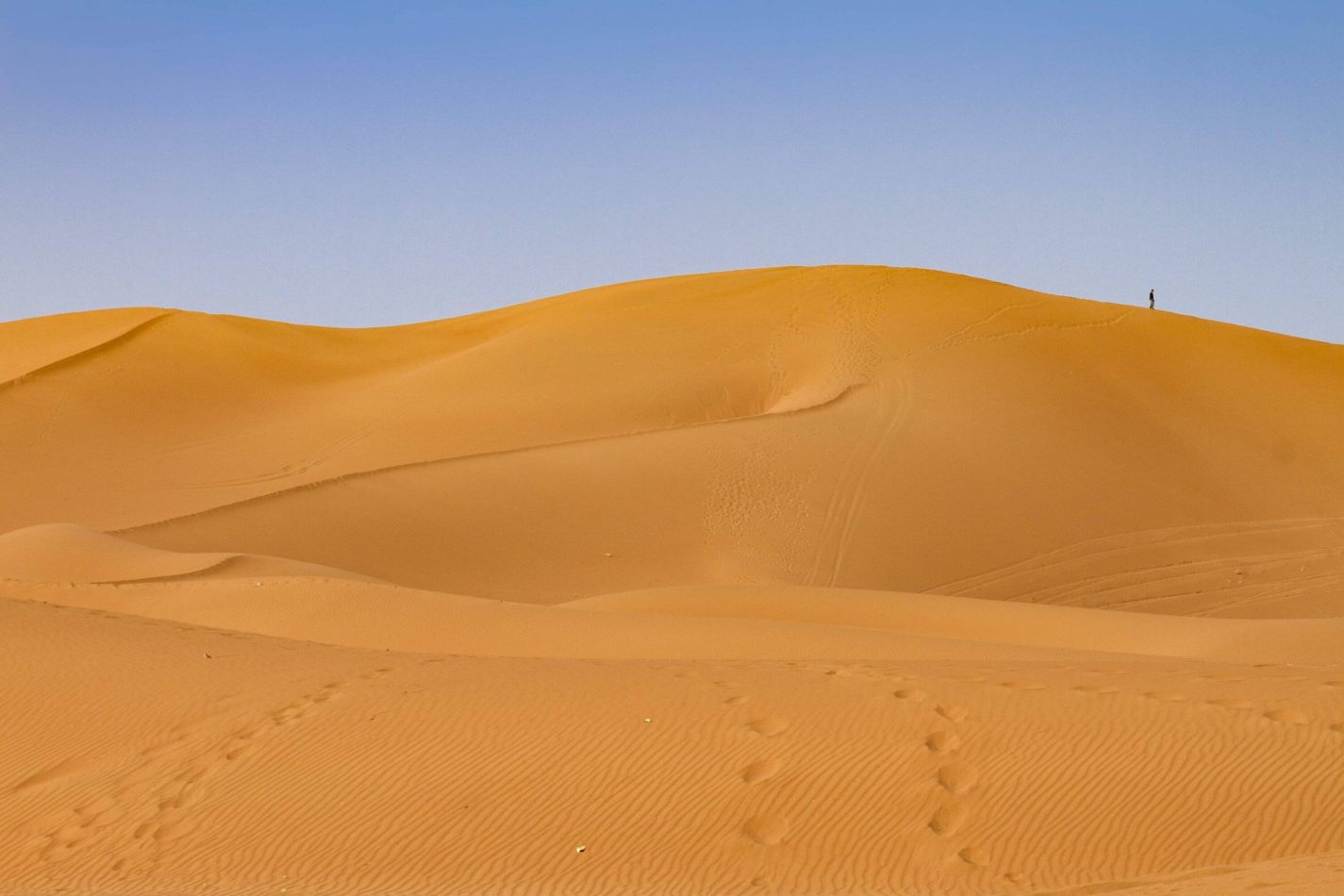 Storvandre: Erg Chigaga