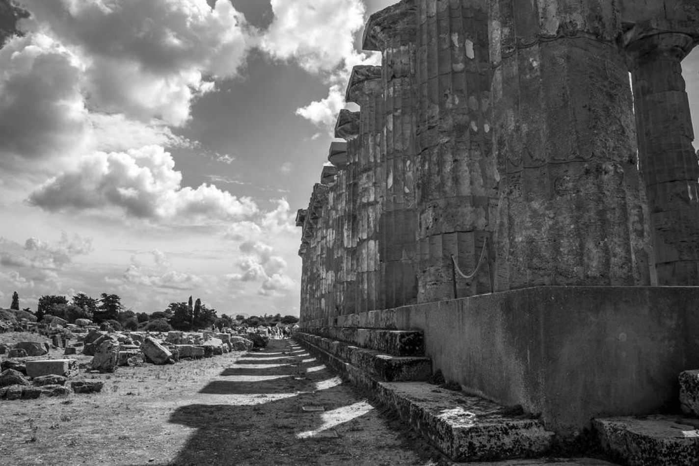 Storvandre: Selinunte