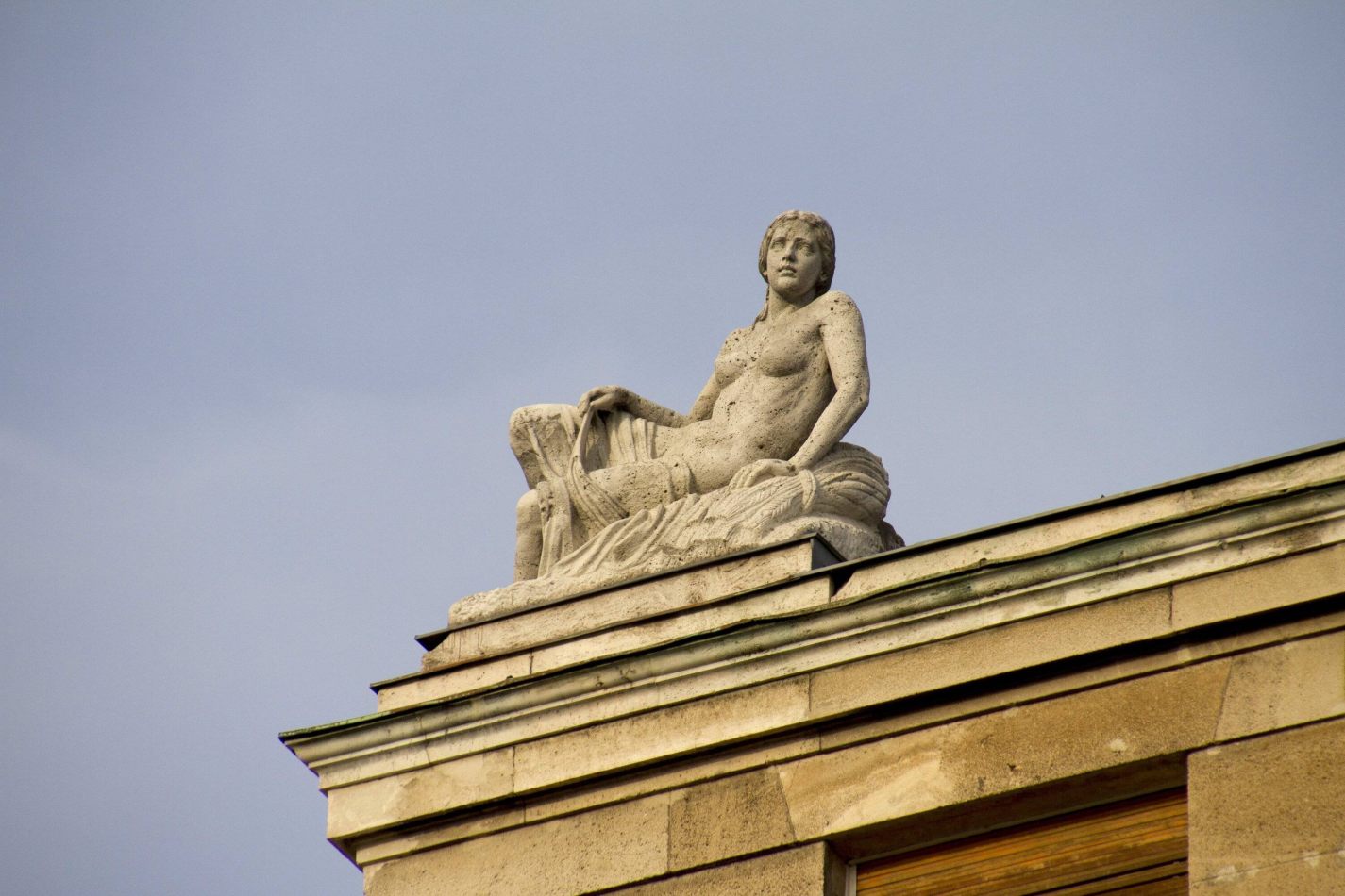 Storvandre: Budapest