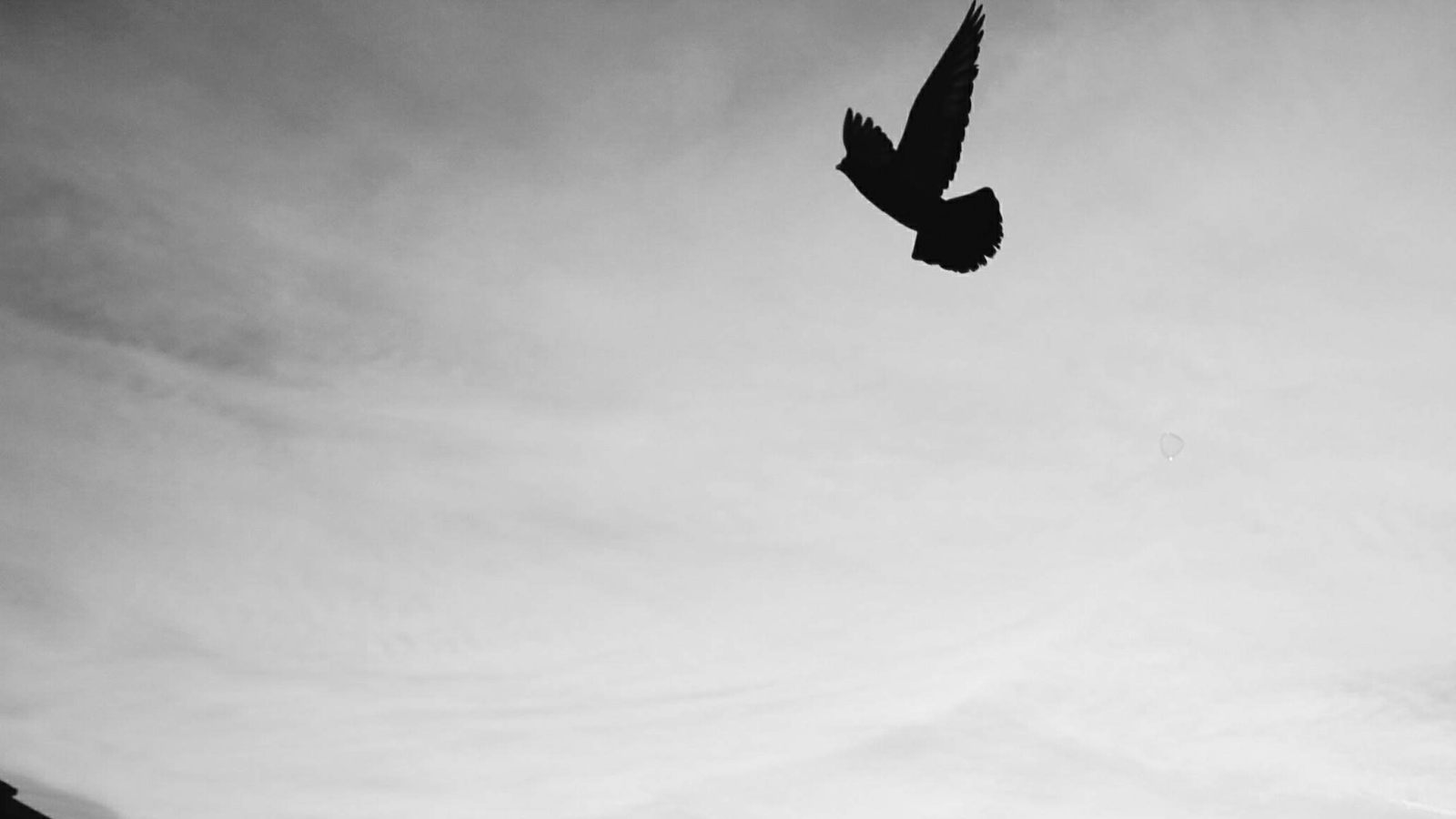 kctamvakisphotography: BARCELONA