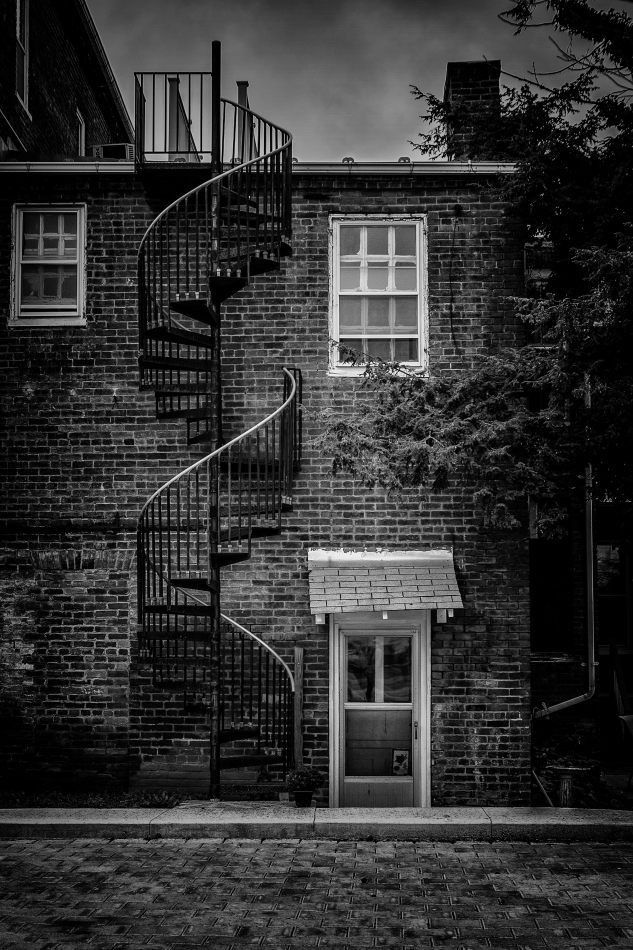 Storvandre: Virginia