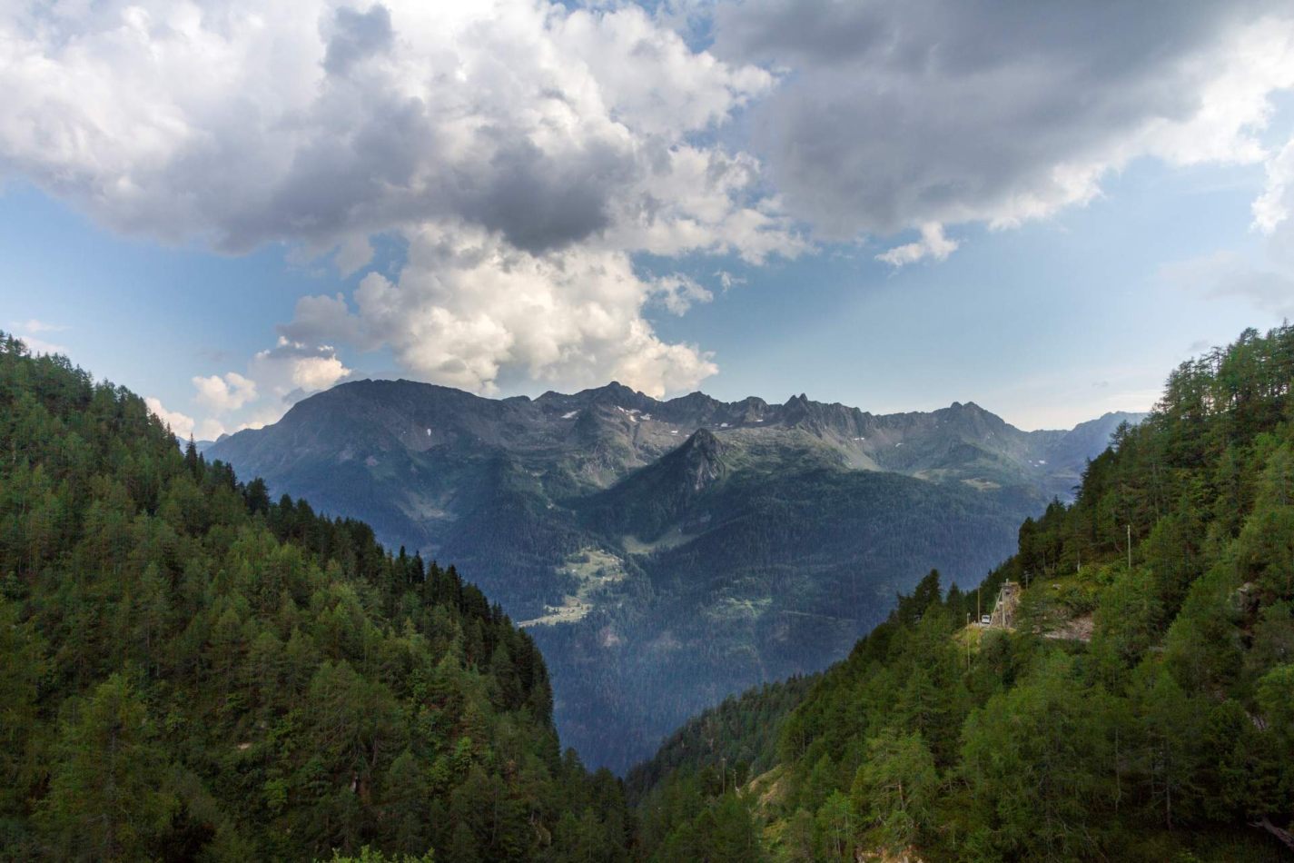 Storvandre: Ritom Lake