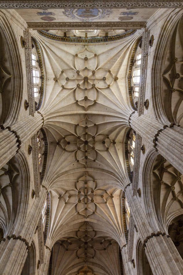 Storvandre: Salamanca