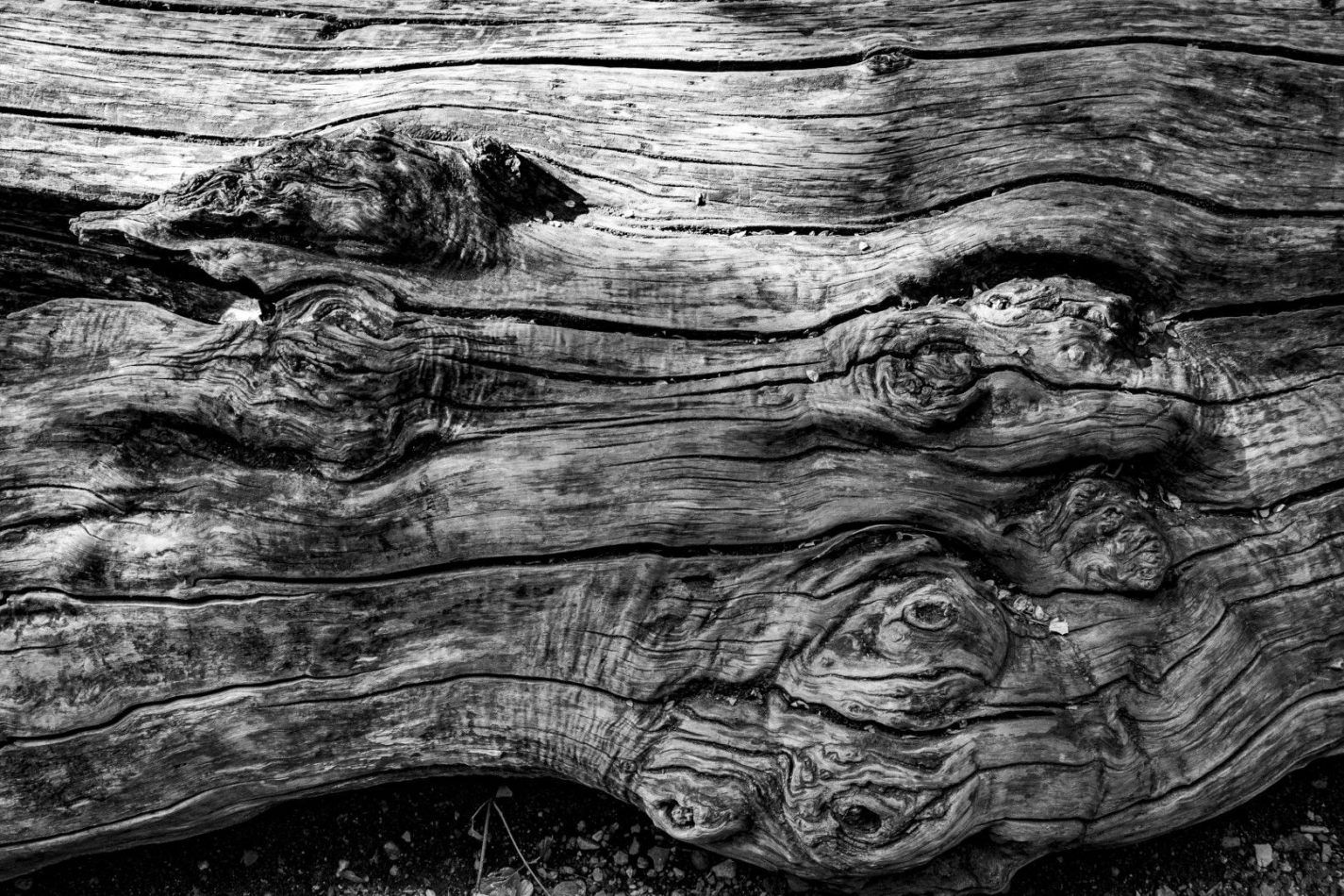 Storvandre: Lake Segrino