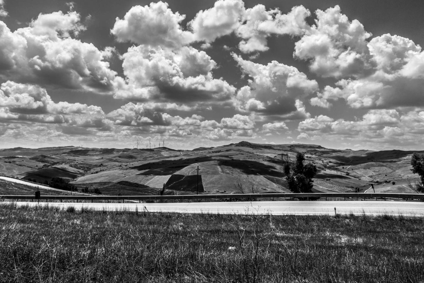 Storvandre: Petralia