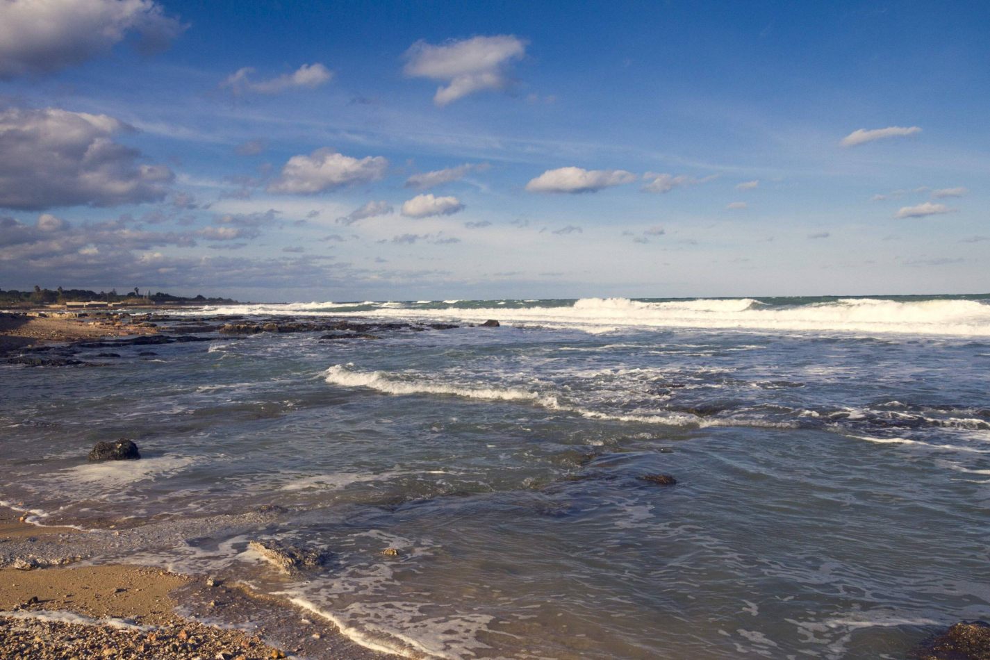 Storvandre: Polignano