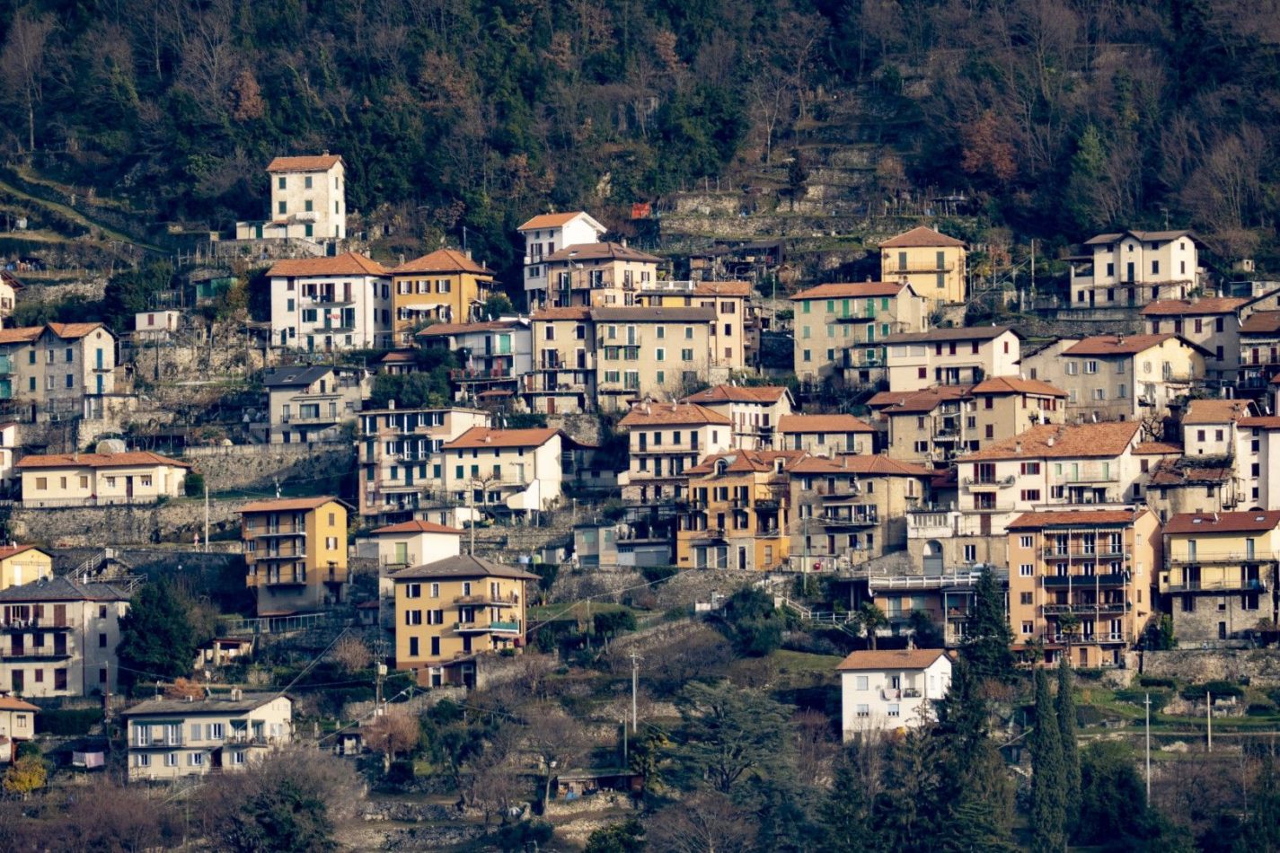 Storvandre: Carate Urio