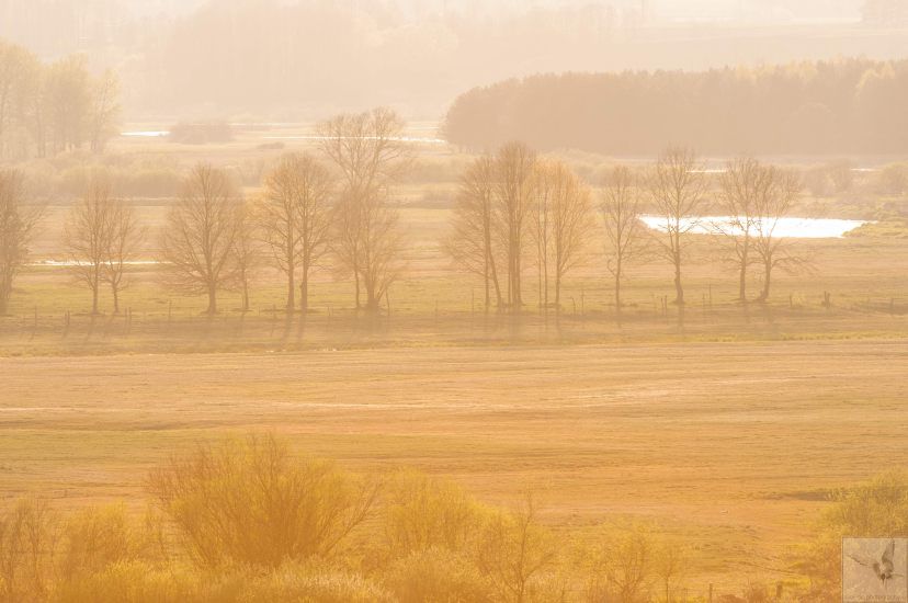 Biebrza National Park