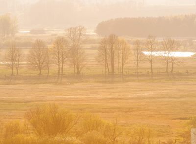 Biebrza National Park