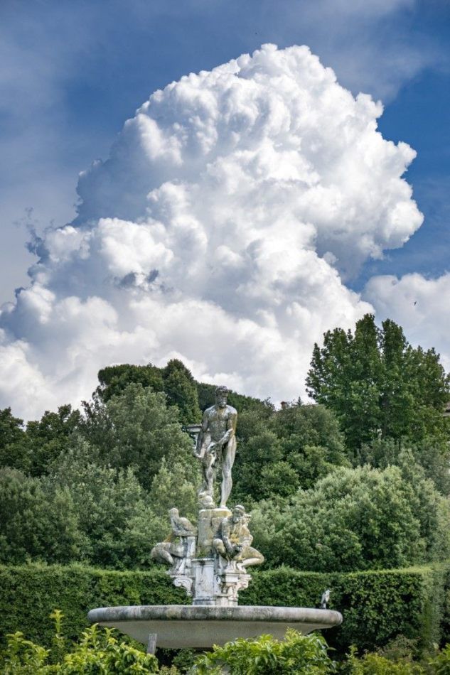 Storvandre: Florence