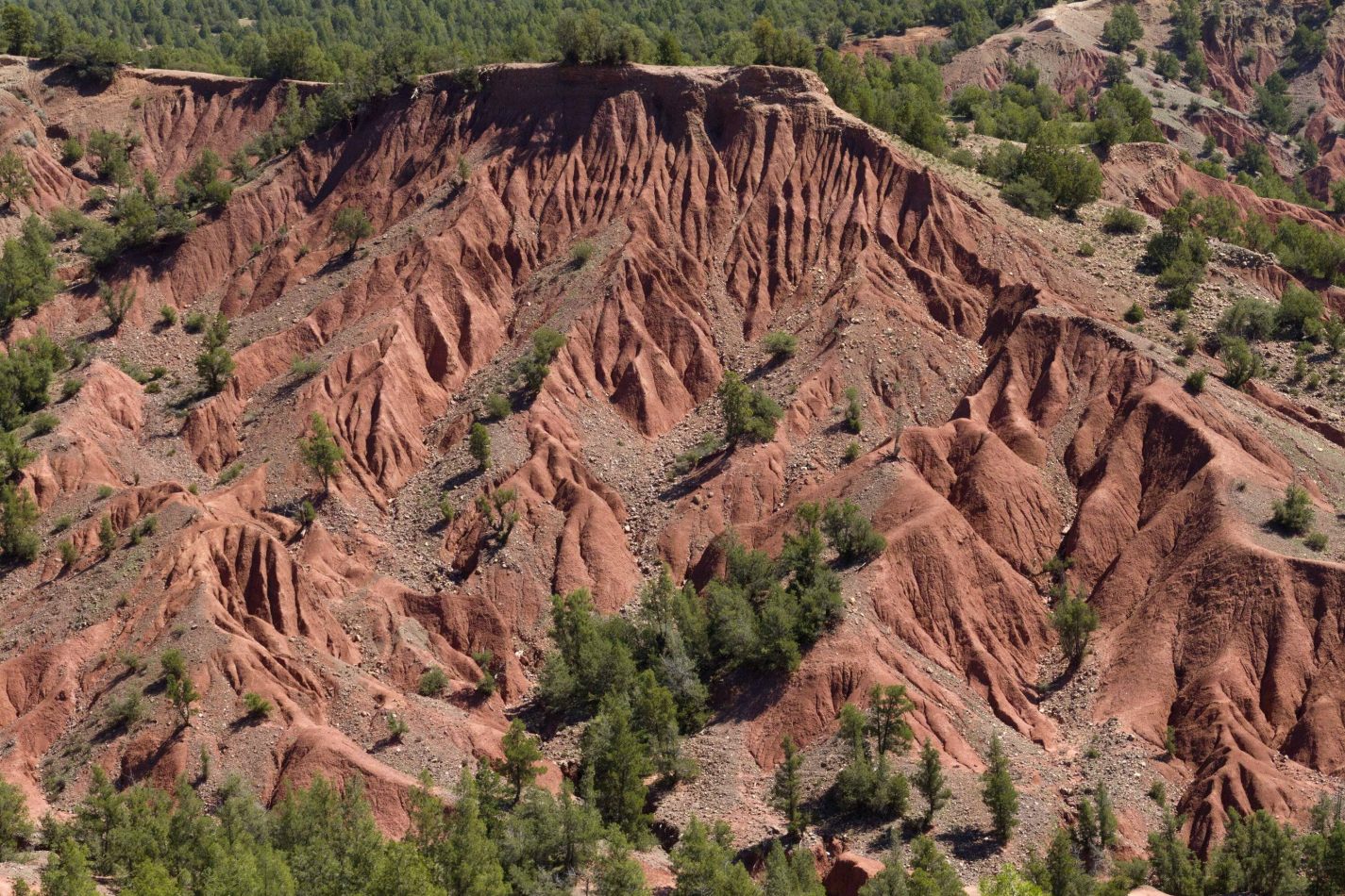 Storvandre: Tizi n Test Pass