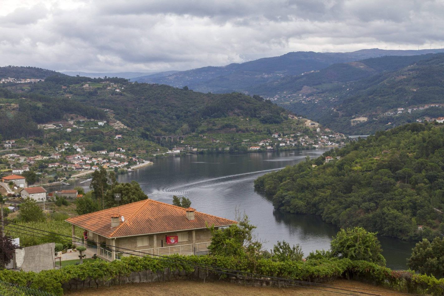 Storvandre: Douro Valley