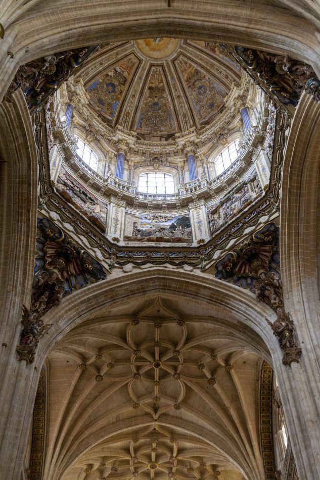 Storvandre: Salamanca