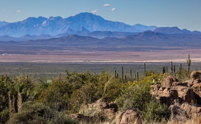 Tucson Desert museum and raptors