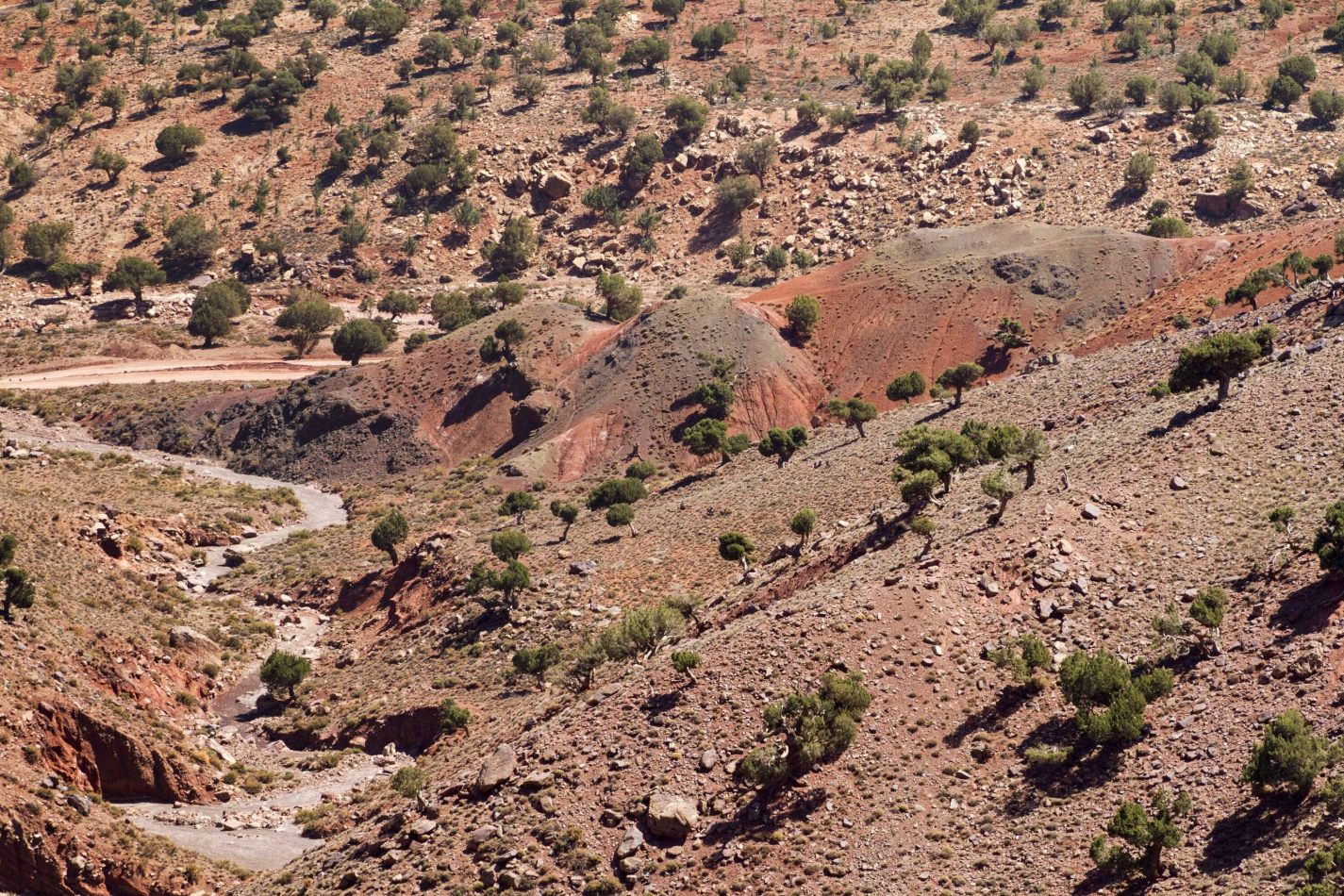 Storvandre: Tizi n Tichka