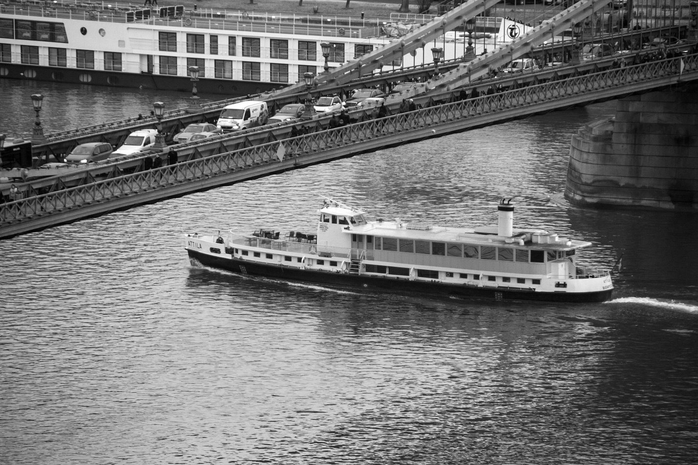 Storvandre: Budapest