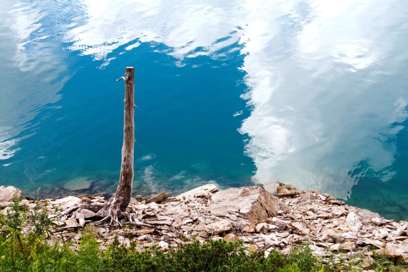 Storvandre: Ritom Lake