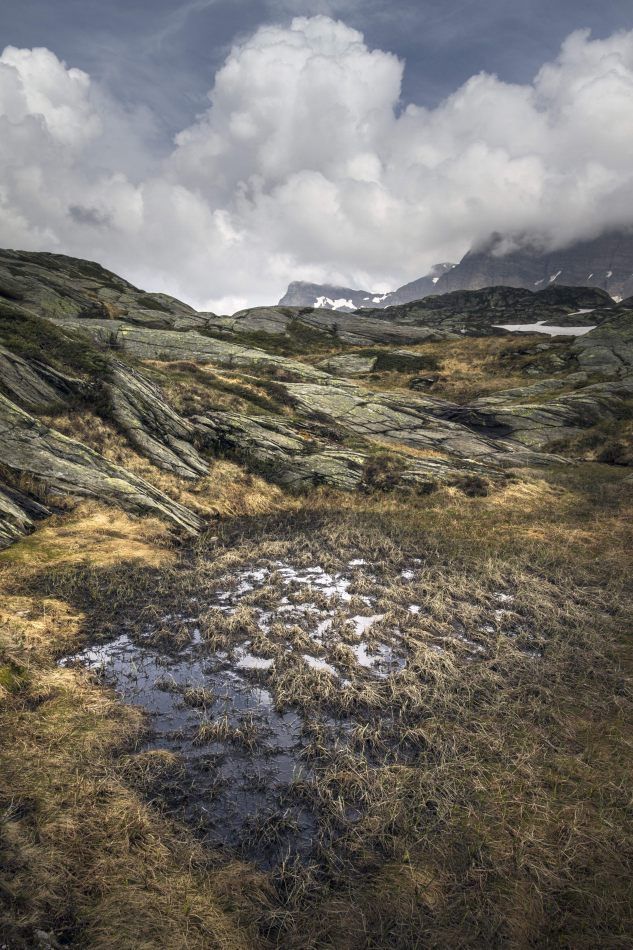 Storvandre: San Bernardino