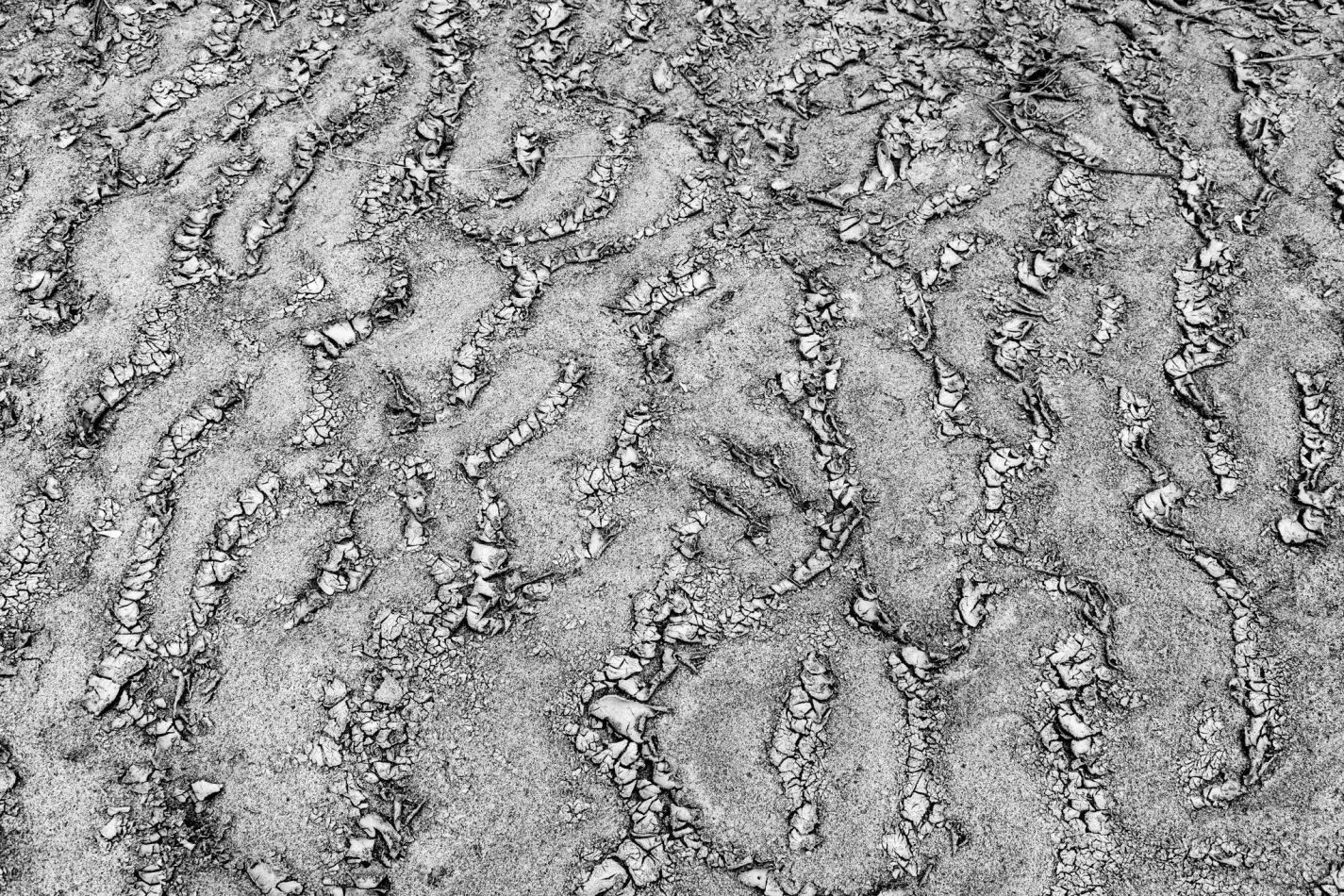 Storvandre: Golena del Po