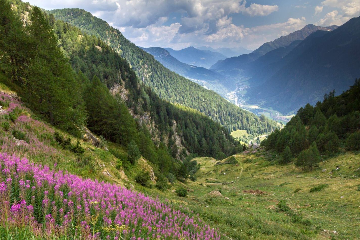 Storvandre: Ritom Lake