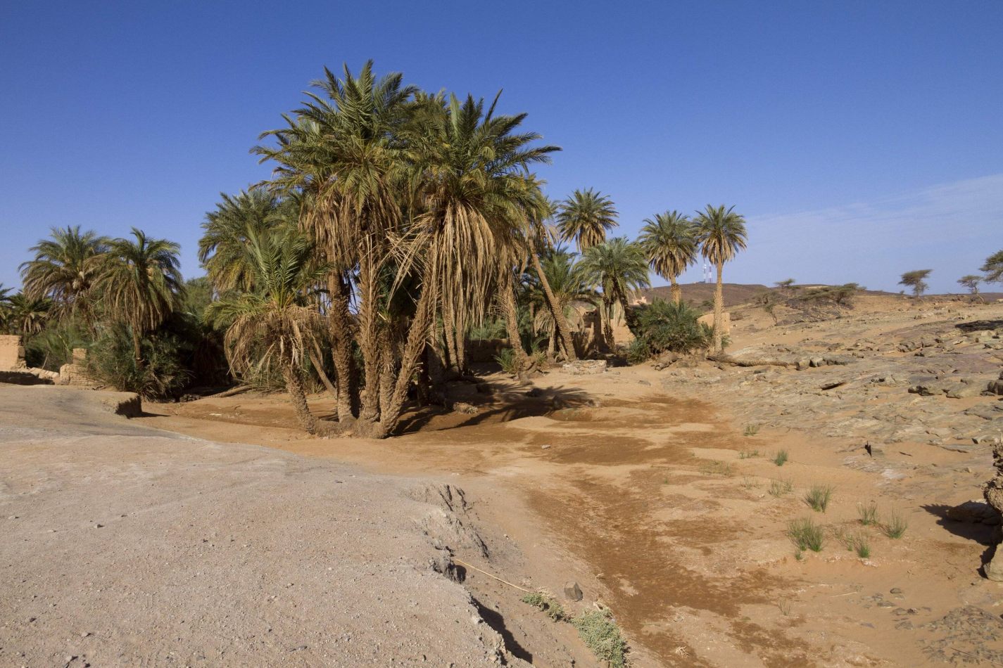 Storvandre: Erg Chigaga