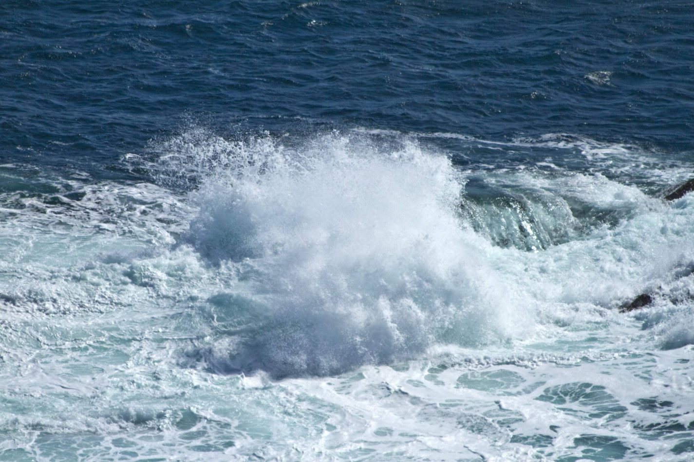 Storvandre: Mizen Head