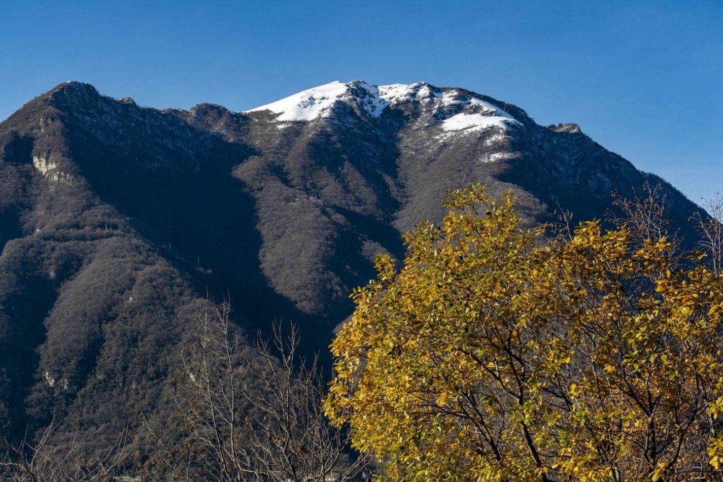 Storvandre: Pognana Lario