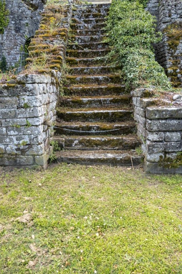 Storvandre: Florence