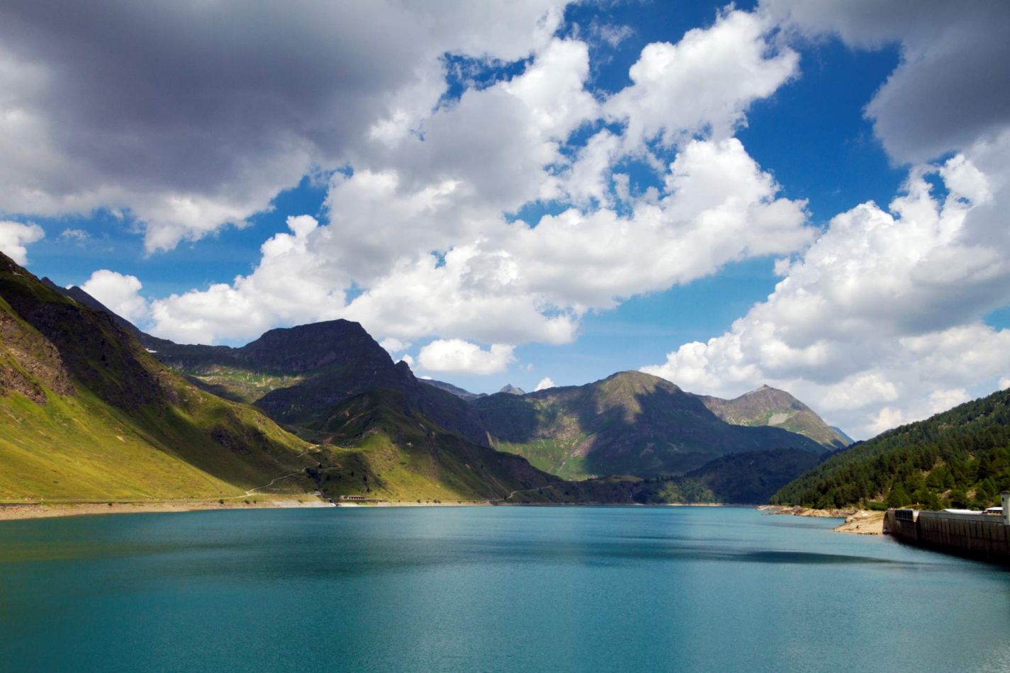 Storvandre: Ritom Lake