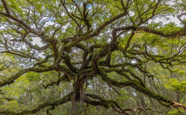 Biloxi and Ocean Springs