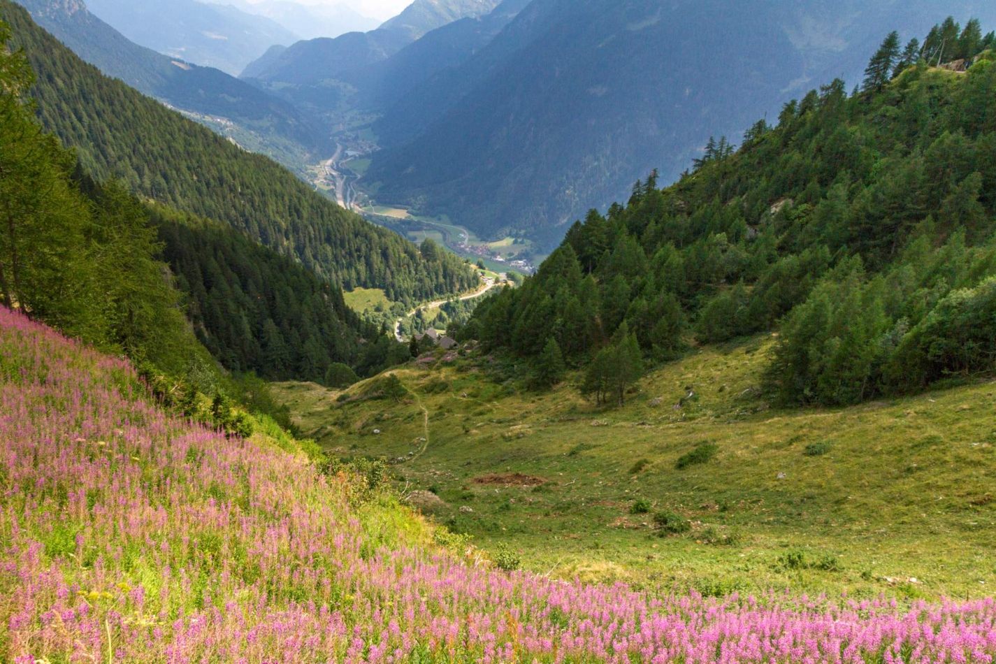 Storvandre: Ritom Lake