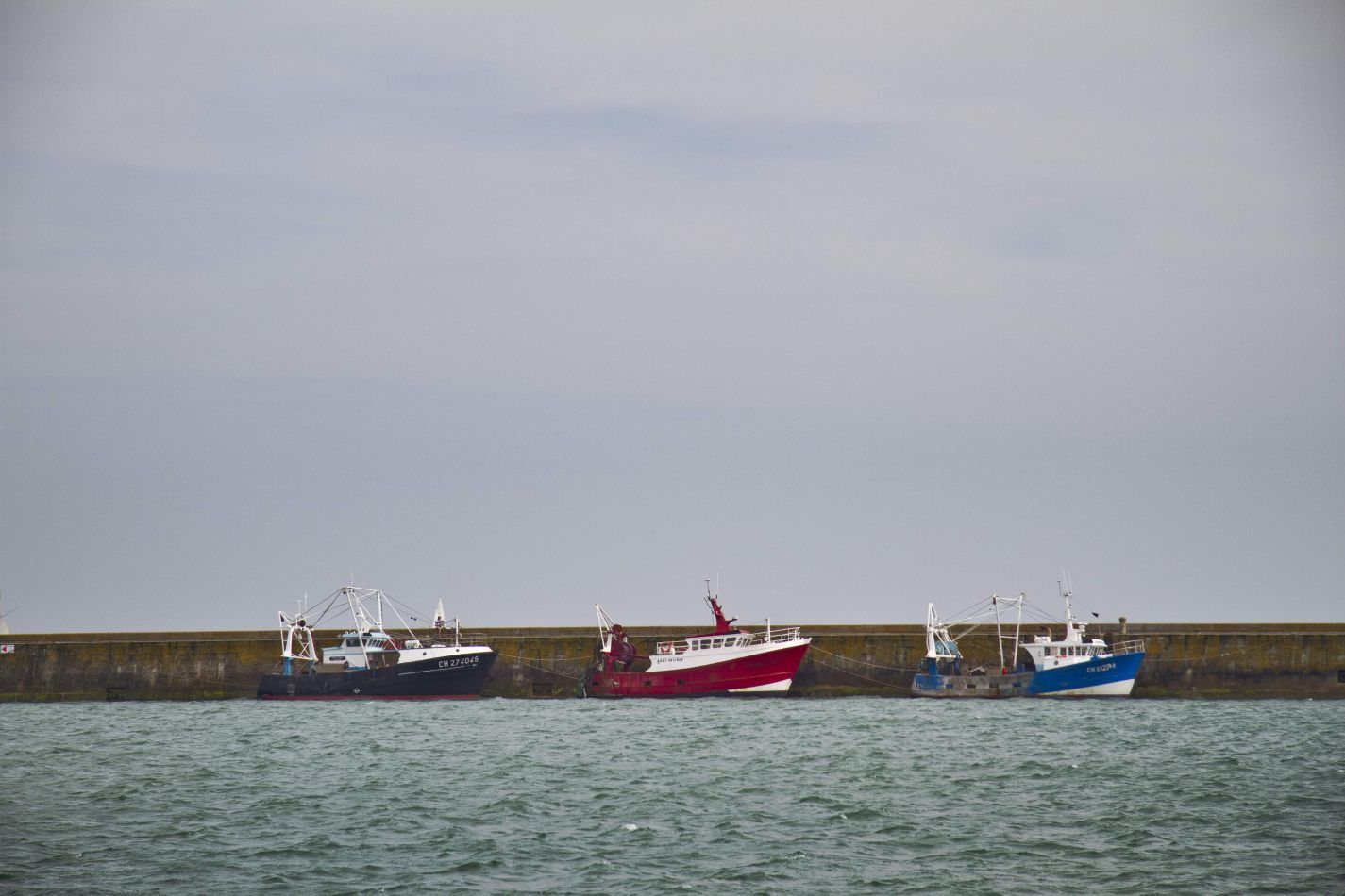 Storvandre: Cap de la Hague