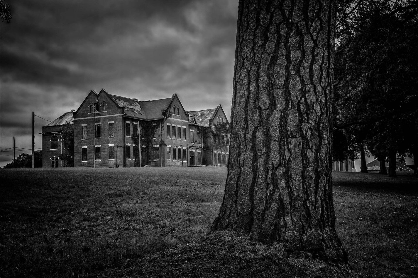 Storvandre: Mississippi