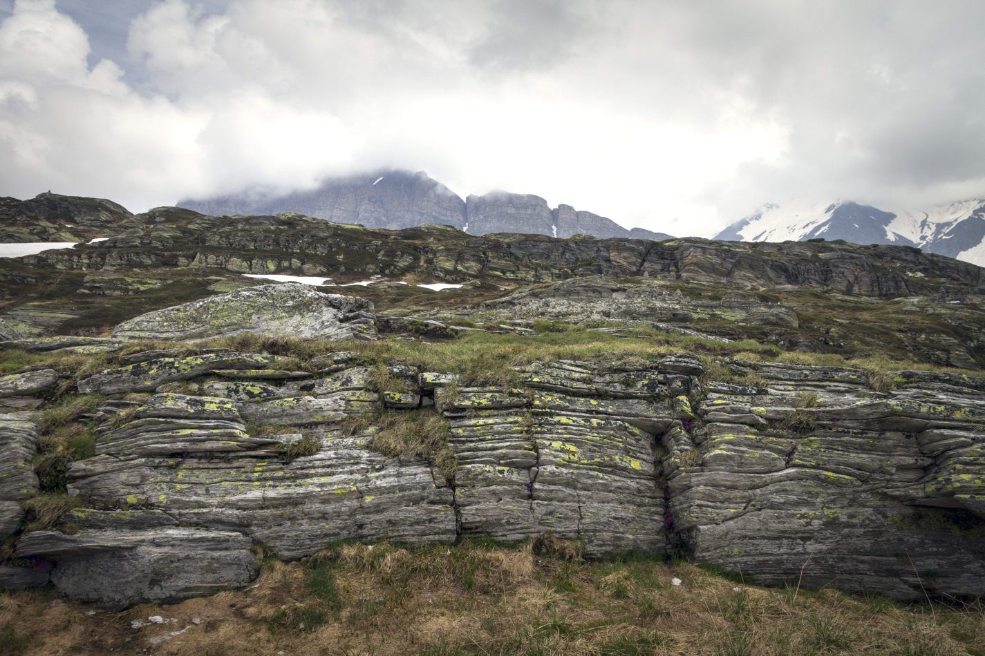 Storvandre: San Bernardino