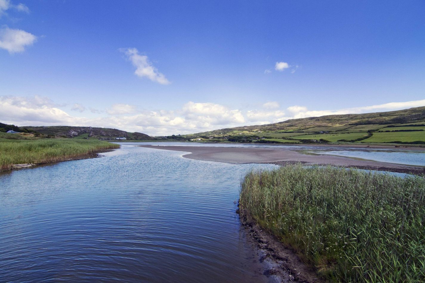 Storvandre: Mizen Head