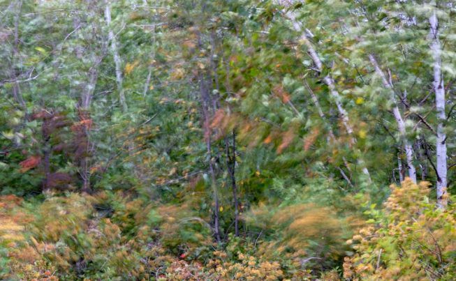 Duluth North Shore Scenic Drive