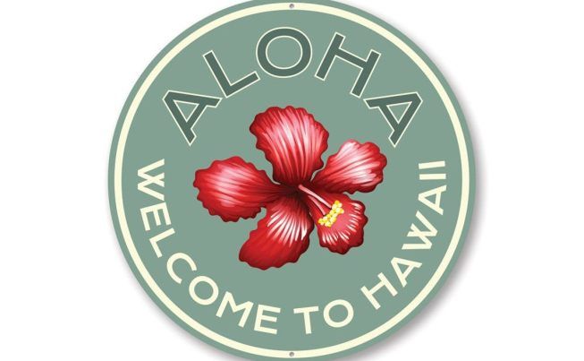 Mountain View to Hilo