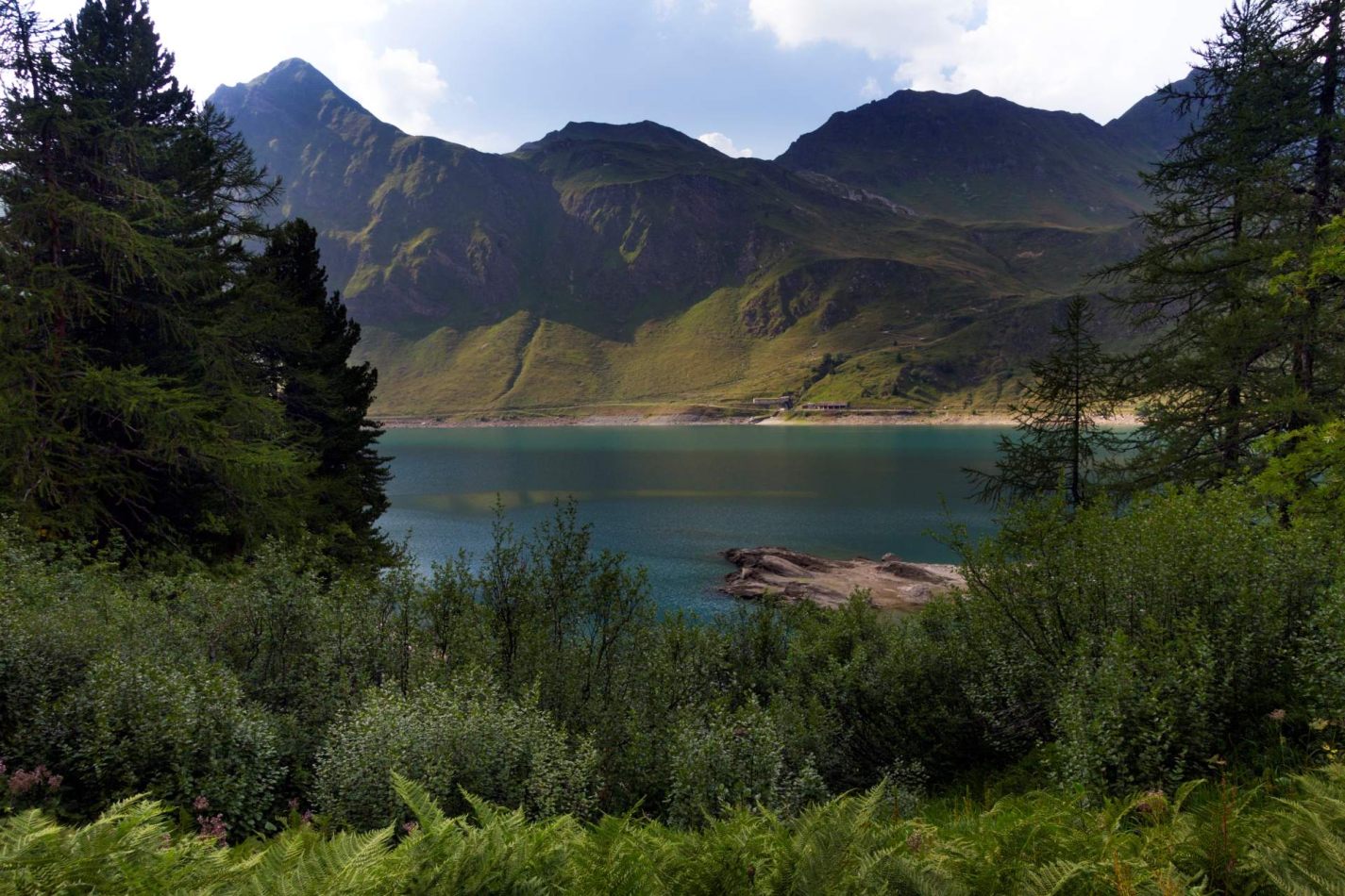 Storvandre: Ritom Lake