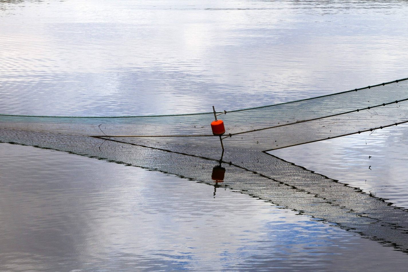 Storvandre: Douro Valley